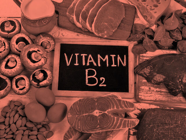 vitamin wiki b2